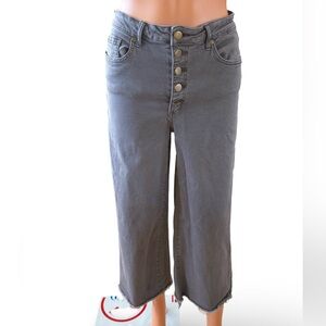 easel Gray Wide Leg Flare Jeans with Button Front